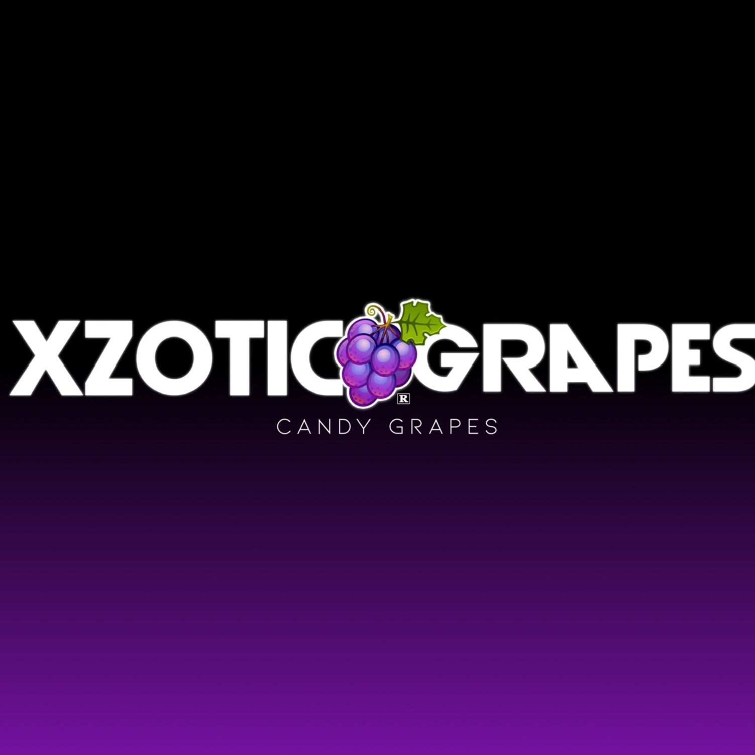 Vector logo design template. Branch of grape with leaves | Vector logo  design, Wine logo, Logo design template